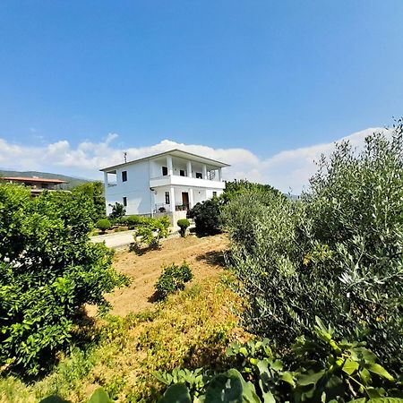 Villa Besart Berat Eksteriør bilde